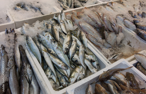 Fresh fish counter with various fish on ice in plastic containers at a street market