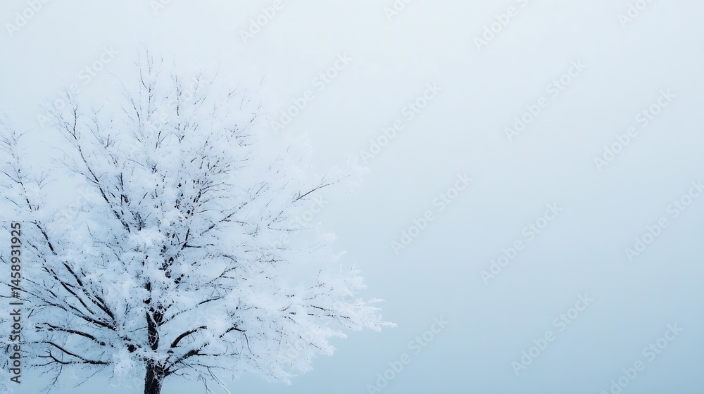 A solitary snow-covered tree stands against a pale blue, misty sky, its branches delicately adorned with frost, creating a serene winter scene. : Generative AI A solitary snow-covered tree stands against a pale blue, misty sky, its branches delicately adorned with frost, creating a serene winter scene. : Generative AI