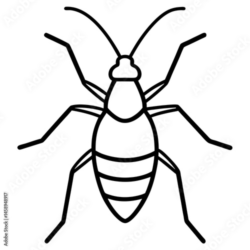 Elegant Aphid Line Drawing
