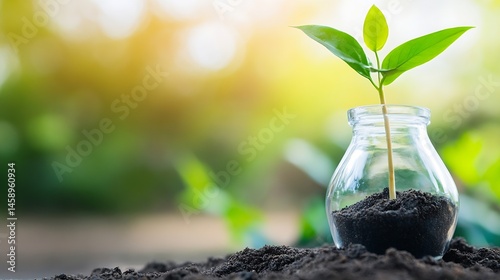 Wallpaper Mural A small green sprout emerges from dark soil inside a clear glass jar, set against a blurred backdrop of sunlit greenery, symbolizing growth and new beginnings. : Generative AI Torontodigital.ca