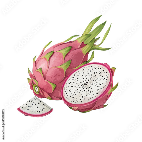 dragon fruit on white background