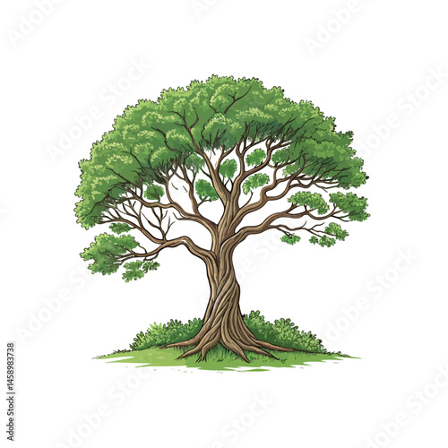 tree isolated on white background