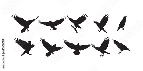 Bird Silhouettes in Flight � Wings Extended in Natural Flying Postures Vector Illustration Set