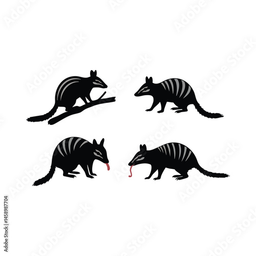 Numbat Silhouettes � Walking & Foraging Poses with Signature Stripes and Bushy Tails Vector Art