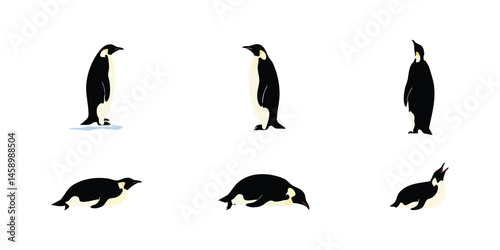 Emperor Penguin Silhouettes � Standing & Walking Poses in Various Outlines Vector Art