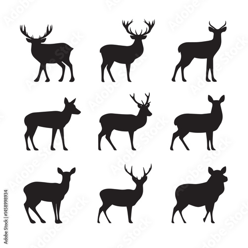 Vector silhouette set of deer on white background