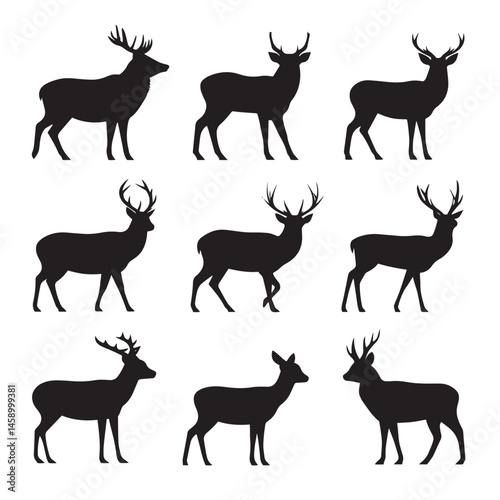 Vector silhouette set of deer on white background
