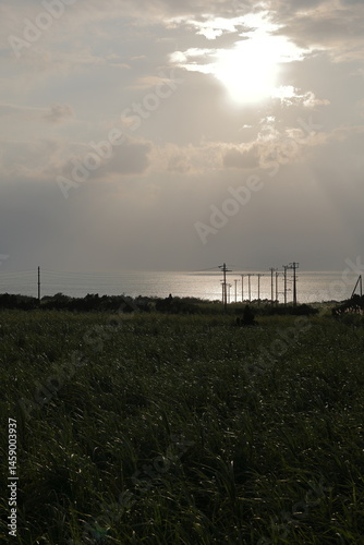 太陽光線が見えている風景