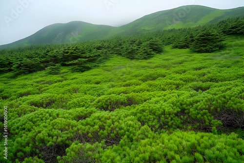 Lush Green Mountain Landscape Photo