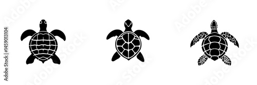 Three black turtle icons showcasing different turtle designs against a white background