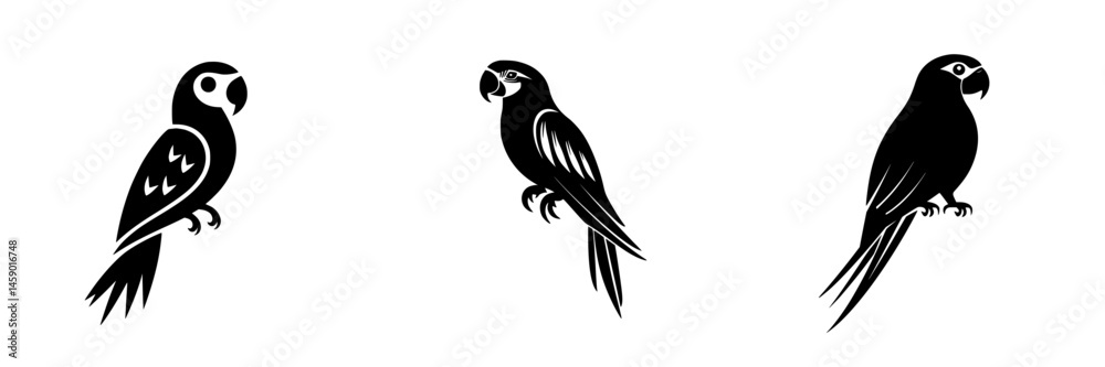 Obraz premium Flat black icon representing three stylized parrots in various poses isolated on a white background