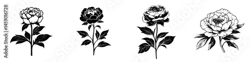 Flat black icons of peony flowers with varying styles on a white background for design projects and creative use