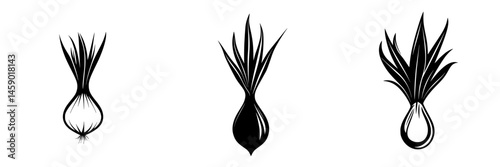 Flat black icon set featuring three stylized designs of onions with varying shapes and leaf details