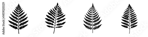Collection of flat black fern leaf icons showcasing various shapes and sizes for decorative or design purposes
