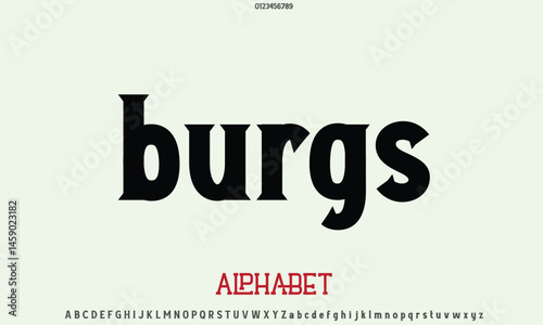Luxury Burgs Classic alphabet letters font for logo