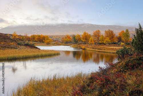 Fall in the Forollhogna National Park, Norway