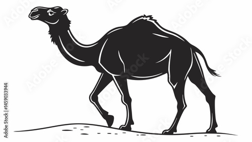 camel in desert vecyer illustration