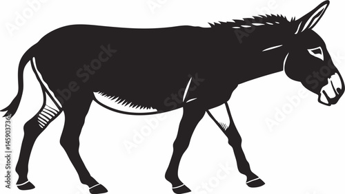 donkey in a white background