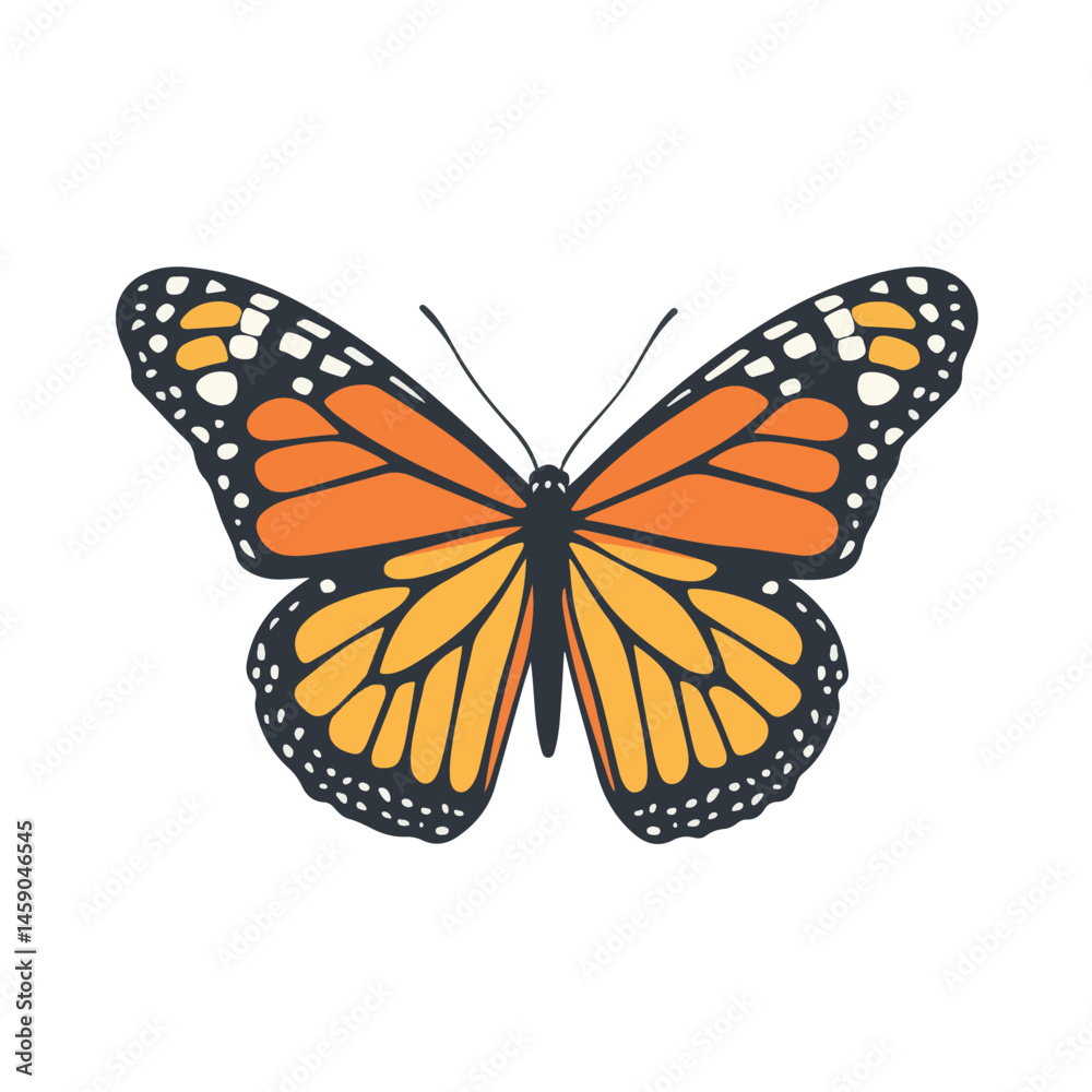 Fototapeta premium Detailed Vector Graphic Of A Monarch Butterfly With Bold Orange And Black Wings