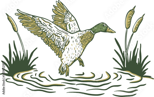duck hunting illustration vector logo