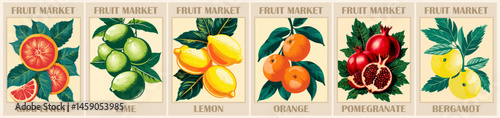 Set of Fruit market retro posters with lemon, orange, pomegranate, lime fruits. Kitchen wall art. Colorful vector illustrations