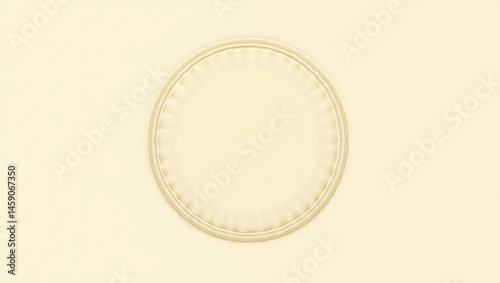 Wheat Straw Plates. Simple rustic charm. Isolated 2D Isometric Illustration. Simple, rustic paper plate exudes warm, homespun charm reminiscent of rural simplicity and earthy elegance.
