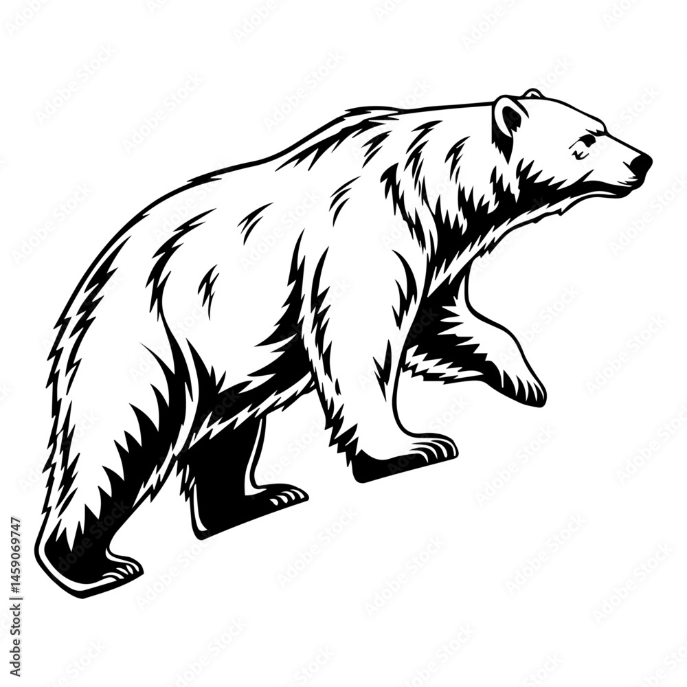 Fototapeta premium Polar Bear Illustration