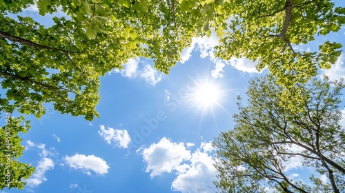 Looking up at a bright sun shining through lush green tree branches and fluffy white clouds in a vibrant blue sky, creating a serene and peaceful nature scene. : Generative AI