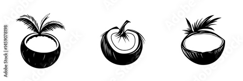 Collection of flat black coconut icons featuring whole and halved designs with palm leaves displayed in a minimalist style