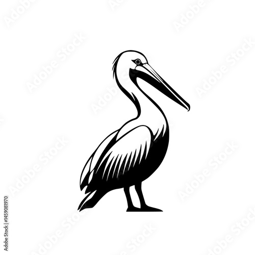 Elegant pelican standing gracefully, showcasing its striking features against a minimalistic background