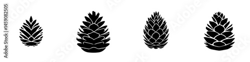 Black silhouette of various pine cones arranged in a row on a white background showcasing unique shapes and sizes