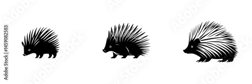 Artful depiction of three unique porcupines showcasing varying postures and features in a minimalist style