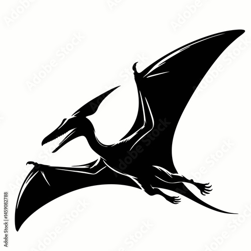 A vector flying dragon.