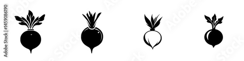 Black and white illustrations of different radish varieties showcasing their shapes and leaf structures in a minimalist design