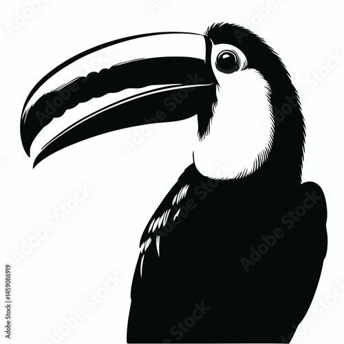 A Vector Bird.