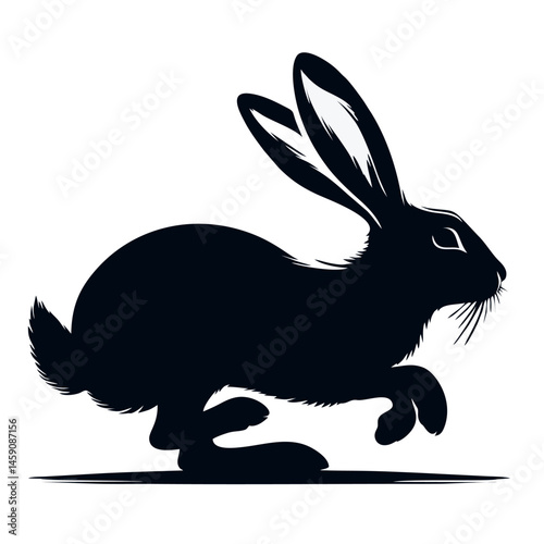 A vector Rabbit.
