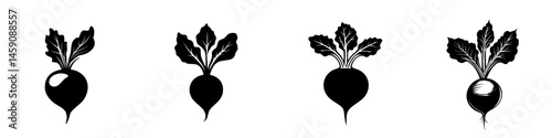 Set of four flat black icons depicting radishes in various angles with detailed leaves representing fresh vegetables