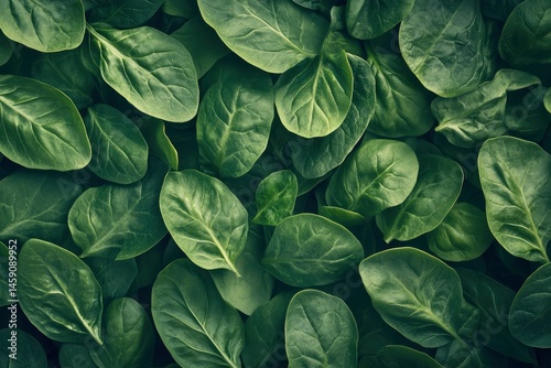 stylish background of green topical healthy vegetables