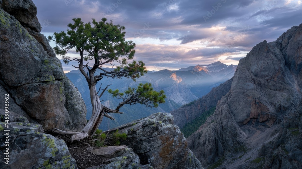 Obraz premium Resilient Lone Tree Amongst Rugged Rocks in a Breathtaking Mountain Landscape