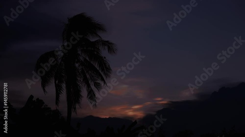 Silhouette of a palm tree against a dramatic sunset sky