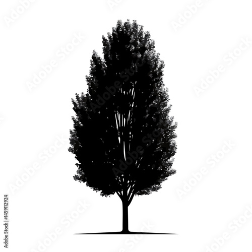 Black and white Poplar Tree symbol, perfect for tattoos, vectors, logos, isolated on a white background.