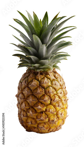 pineapple on white background