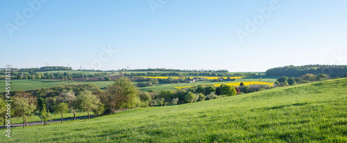 fresh spring colors on trees and fields in german nature park saar-hunsrueck under blue sky