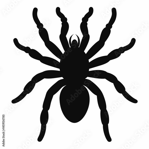Minimalist Tarantula Silhouette Vector