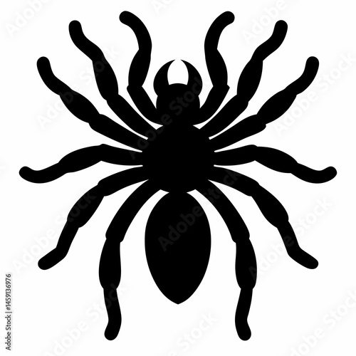 Minimalist Tarantula Silhouette Vector