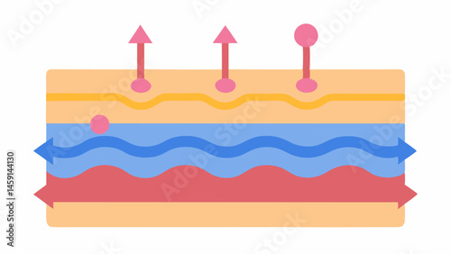 Layered Skin Diagram A simplified diagram of skin layers with arrows showing exosomes trating and repairing each layer highlighting their efficacy.