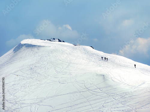 Fototapeta Naklejka Na Ścianę i Meble -  Group of tourists climbing mountain summit in winter