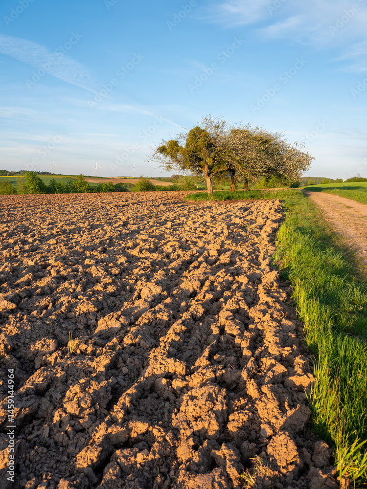 fresh spring colors on trees and fields in german nature park saar-hunsrueck under blue sky fresh spring colors on trees and fields in german nature park saar-hunsrueck under blue sky