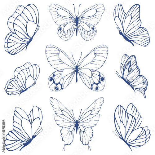 Sketch fluttering butterfly. Set of blue line butterflies. Collection of butterflies. Vector graphic illustration. Butterflies clipart. Summer, spring design element. Party invitation, birthday decor