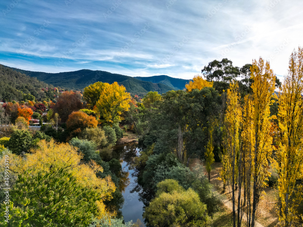 Fototapeta premium Stunning aerial photo of Bright, VIC, Australia during fall season. Vibrant autumn leaves in red, orange, and yellow surround the peaceful river and town, set against a backdrop of green mountains